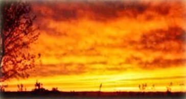 Belle Aire Mansion Guest House