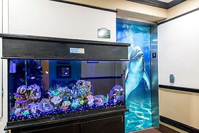 Quality Inn & Suites SeaWorld North