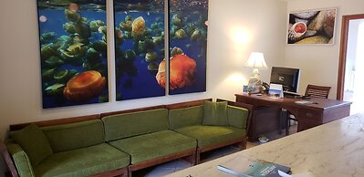 Antigua Yacht Club Marina