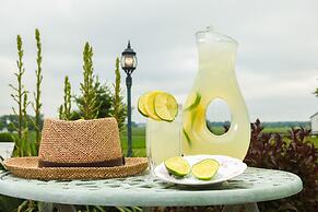 Scottish Bed & Breakfast