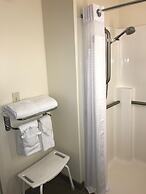 Holiday Inn & Suites Ann Arbor Univ Michigan Area by IHG