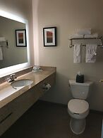 Holiday Inn & Suites Ann Arbor Univ Michigan Area by IHG