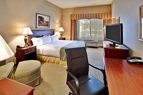 Holiday Inn & Suites Ann Arbor Univ Michigan Area by IHG