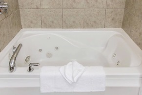 Comfort Suites Wixom