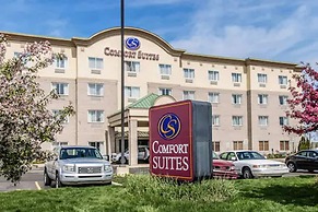 Comfort Suites Wixom