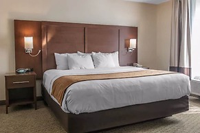 Comfort Suites Wixom
