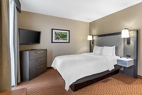 Best Western Plus Kendall Hotel & Suites