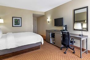 Best Western Plus Kendall Hotel & Suites