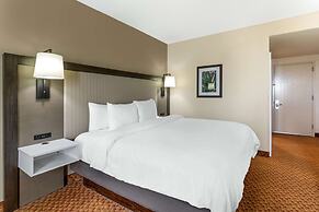 Best Western Plus Kendall Hotel & Suites
