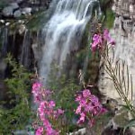 DiamondStone Guest Lodges