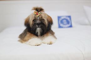 Blue Tree Towers São Luís Hotel