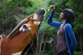 Fairmont Mount Kenya Safari