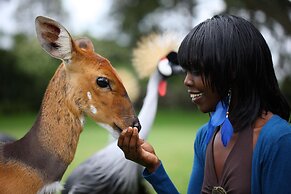 Fairmont Mount Kenya Safari