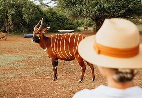 Fairmont Mount Kenya Safari