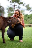 Fairmont Mount Kenya Safari