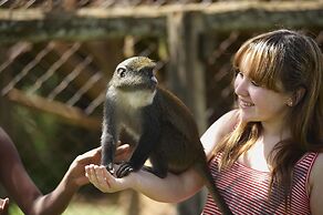 Fairmont Mount Kenya Safari