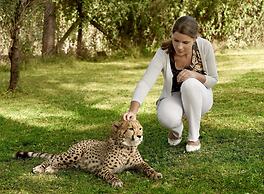 Fairmont Mount Kenya Safari