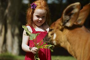 Fairmont Mount Kenya Safari