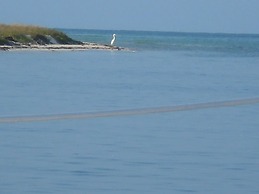 Key West Sailing Adventure With Sunset Charter Included