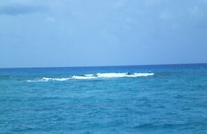 Key West Sailing Adventure With Sunset Charter Included