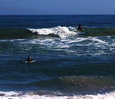 Tuckaway Shores Resort