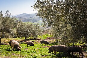 Hotel Fuente del Sol