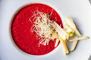 Hotel Fuente del Sol