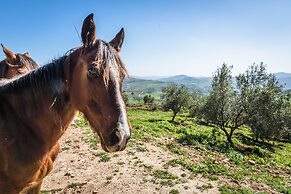 Hotel Fuente del Sol