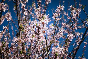 Hotel Fuente del Sol