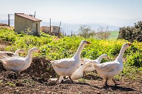 Hotel Fuente del Sol