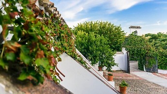 Hotel Boutique Molino del Arco