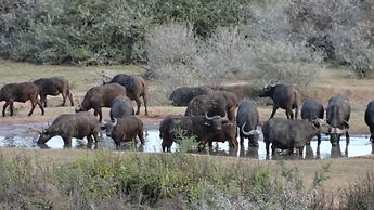 Cape St Francis Resort