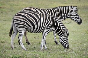 Zuurberg Mountain Village