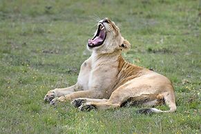 Zuurberg Mountain Village
