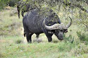 Zuurberg Mountain Village