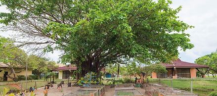 Vila Galé Resort Marés - All Inclusive