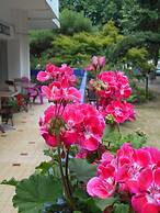 Les Gens De Mer La Rochelle