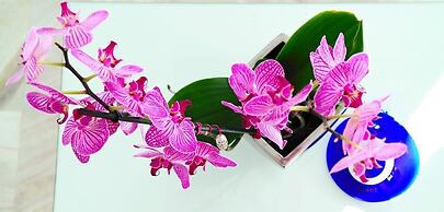 Petasos Beach Resort & Spa, Small Luxury Hotels of the World