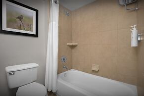 Hilton Garden Inn Denver/Highlands Ranch