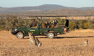 Mabula Game Lodge