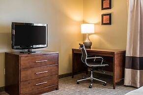 Comfort Inn Columbia Lancaster