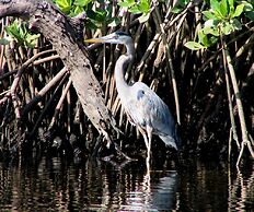 Jupiter Waterfront Inn