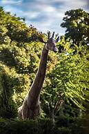 The Glenmorangie House