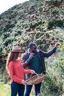 The Glenmorangie House