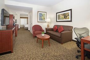 Hilton Garden Inn Avondale