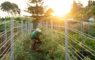 Therasia Resort Sea & Spa - The Leading Hotels of the World