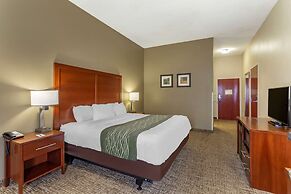 Comfort Inn And Suites