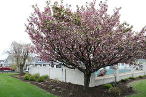 The Village Inn Harrisonburg