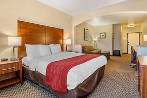 Comfort Inn & Suites Galt - Lodi North