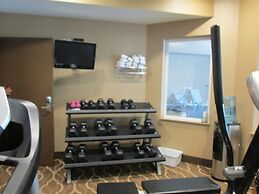 Comfort Inn & Suites Galt - Lodi North